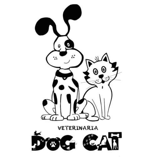 Veterinaria Dog Cat